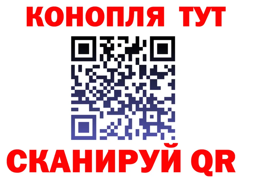 A PVP крисы CK ТОР это KRAKEN Шахунья